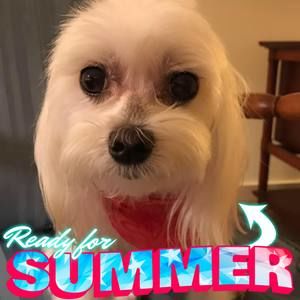 Meet your Posher, Glenda